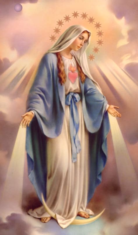 Mediatrix of all graces .